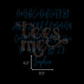 Semi Custom Spangle Transfer - Handwritten Wedding Font