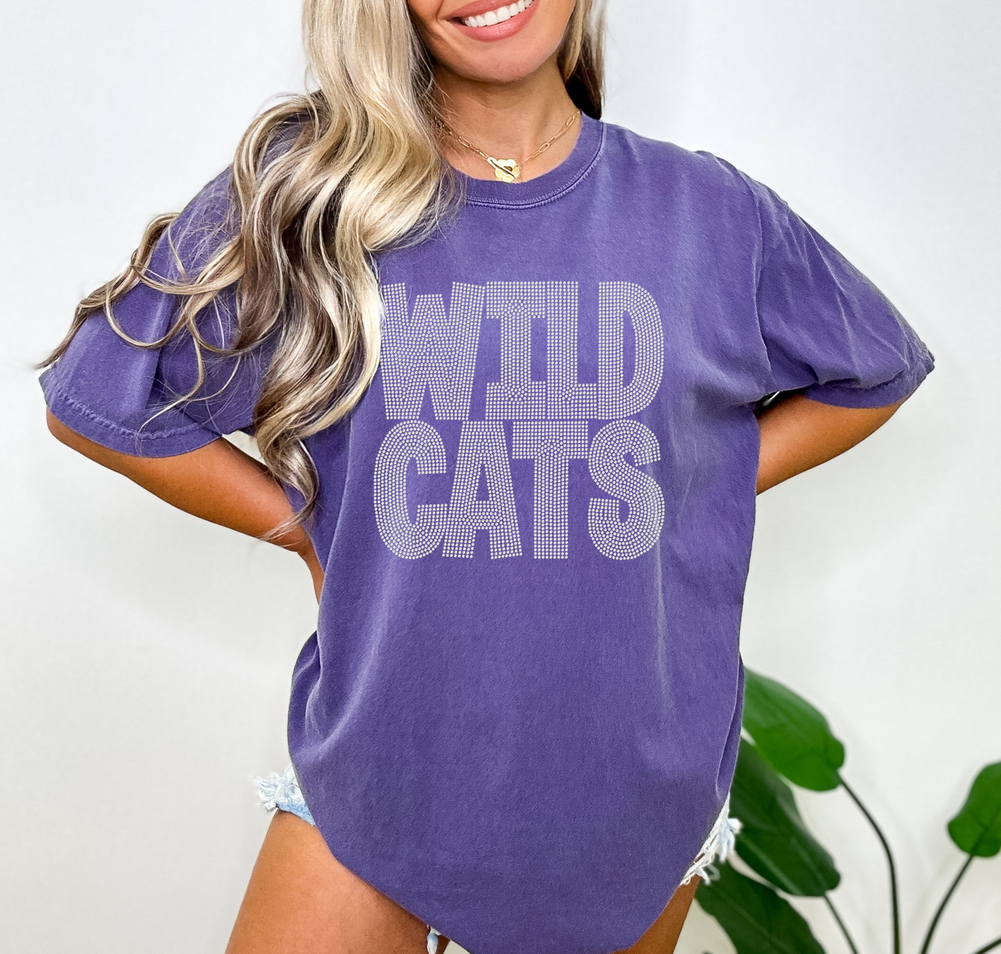 Wildcats Font Mascot RHINESTONE TRANSFER