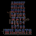 Semi Custom Spangle Transfer - Small Ombre Font - 3mm