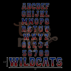 Semi Custom Spangle Transfer - Small Ombre Font - 3mm