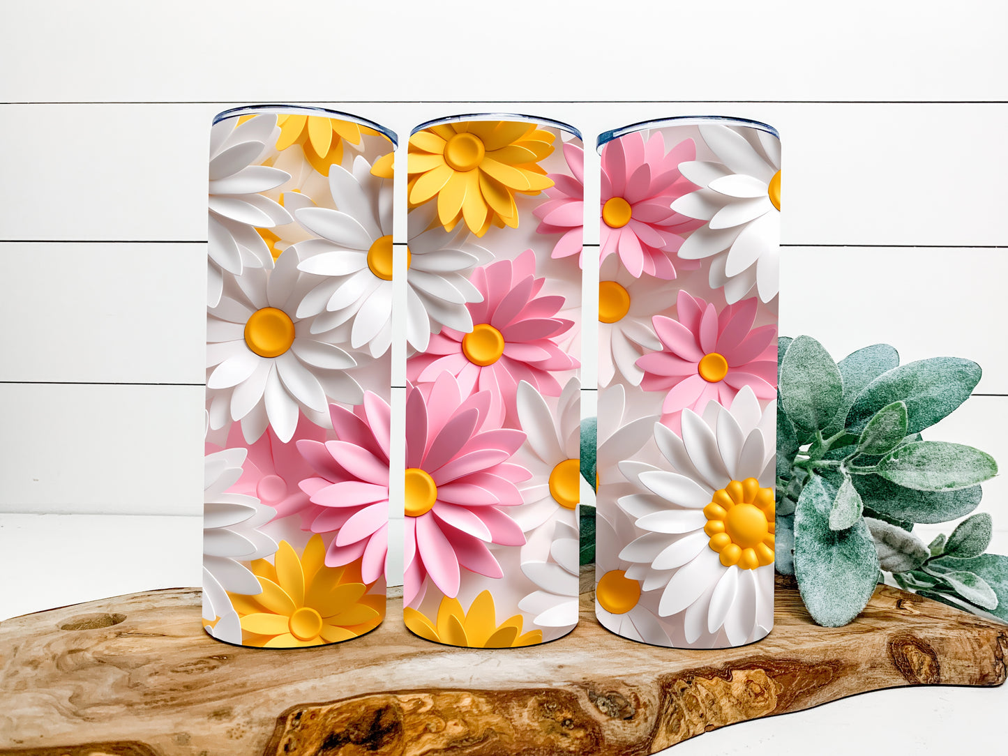 3D White Yellow Pink Daisies