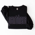Panthers Double Outline RHINESTONE TRANSFER