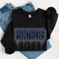 Panthers Athletic Drip RHINESTONE TRANSFER